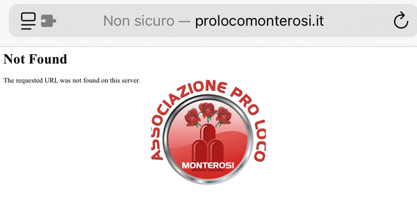 Pro Loco: il successo del Carnevale, la Festa dei Borghi e la mancanza di trasparenza del sito web