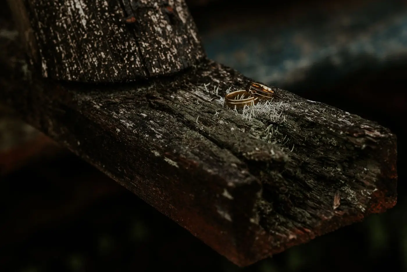 Rustic close-up of wedding rings on a weathered wooden plank, exuding timeless love.