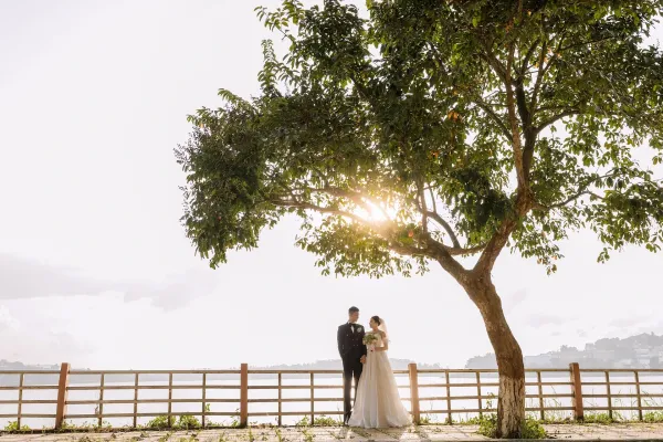 Bride and groom standing beneath a sunlit tree beside a wooden fence.