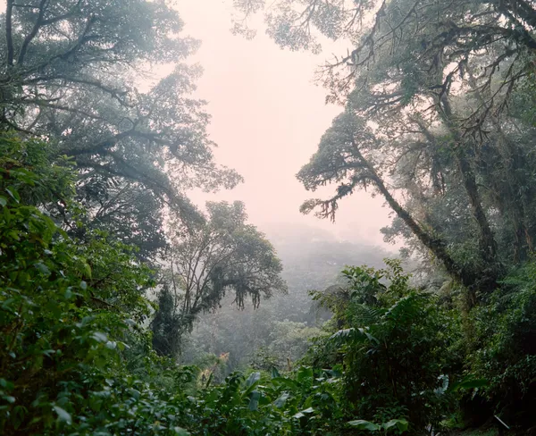 Costa Rica