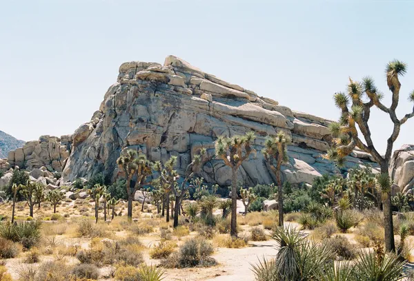 California
