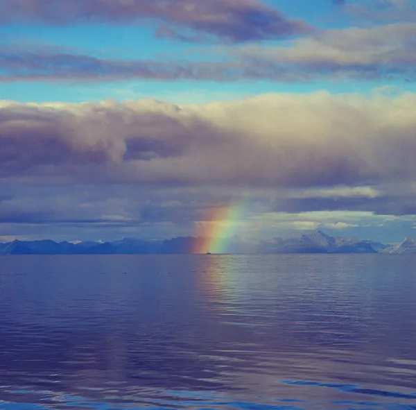 Lofoten Roadtrip