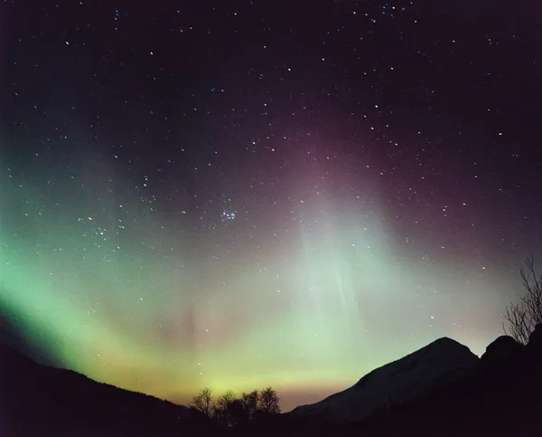 Lofoten in Winter