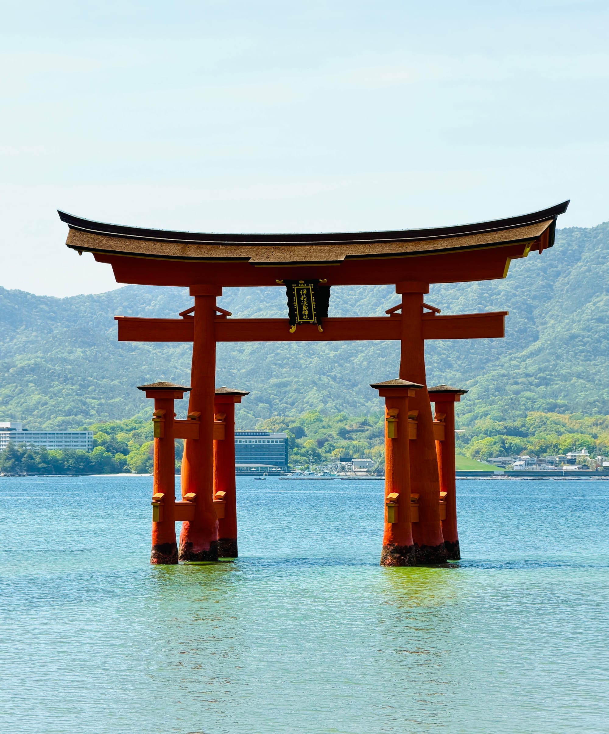 Floating Torii Gate