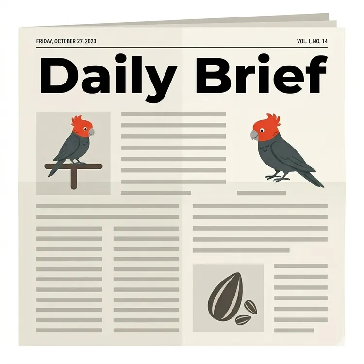 Daily Brief