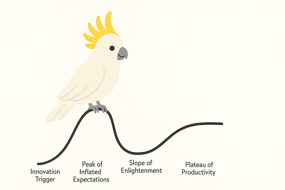 The Gartner Hype-cycle