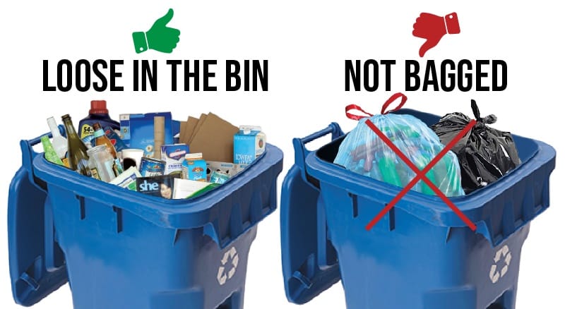 Recyclables should be loose in the bin, never bagged.