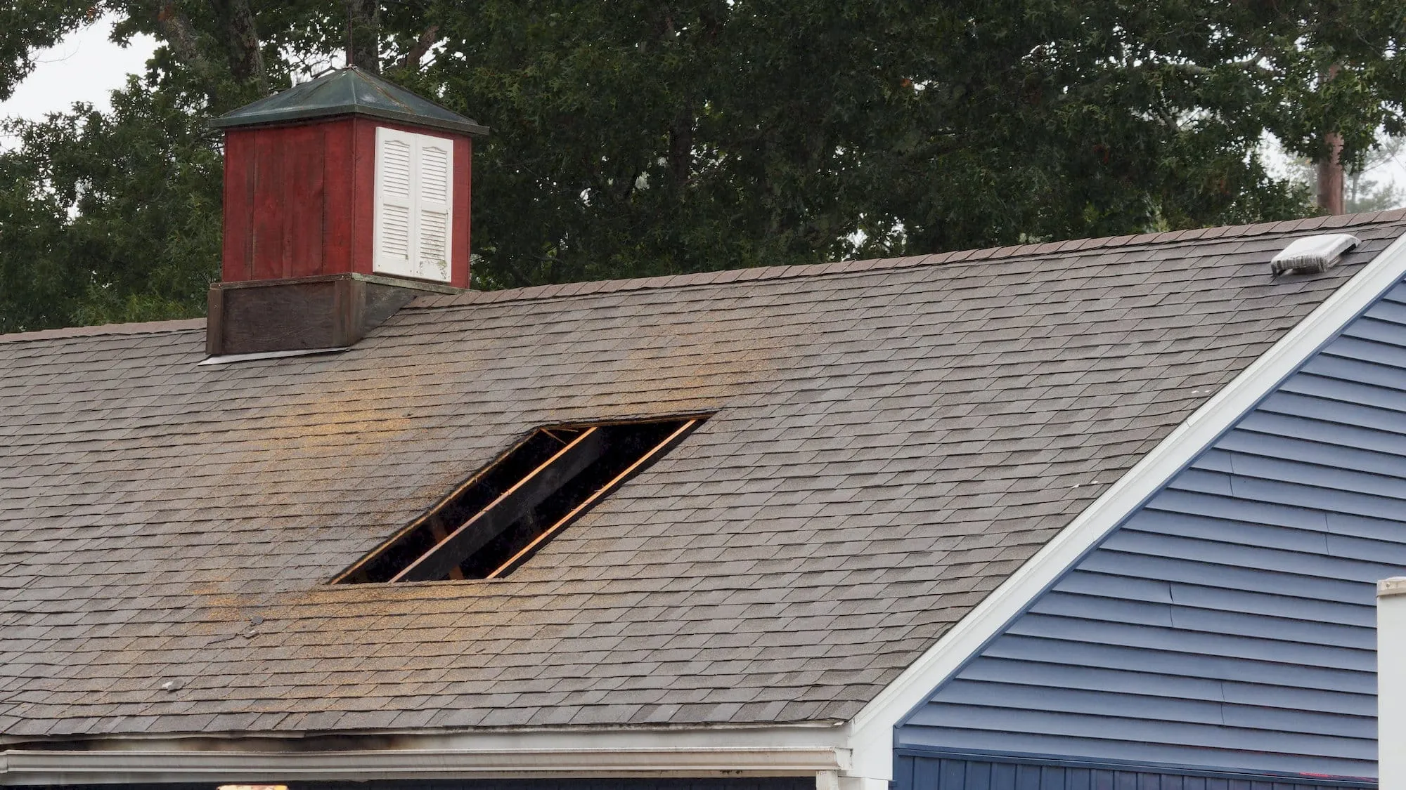 A hole in the roof on the back of the building. Photo by Will Tavares