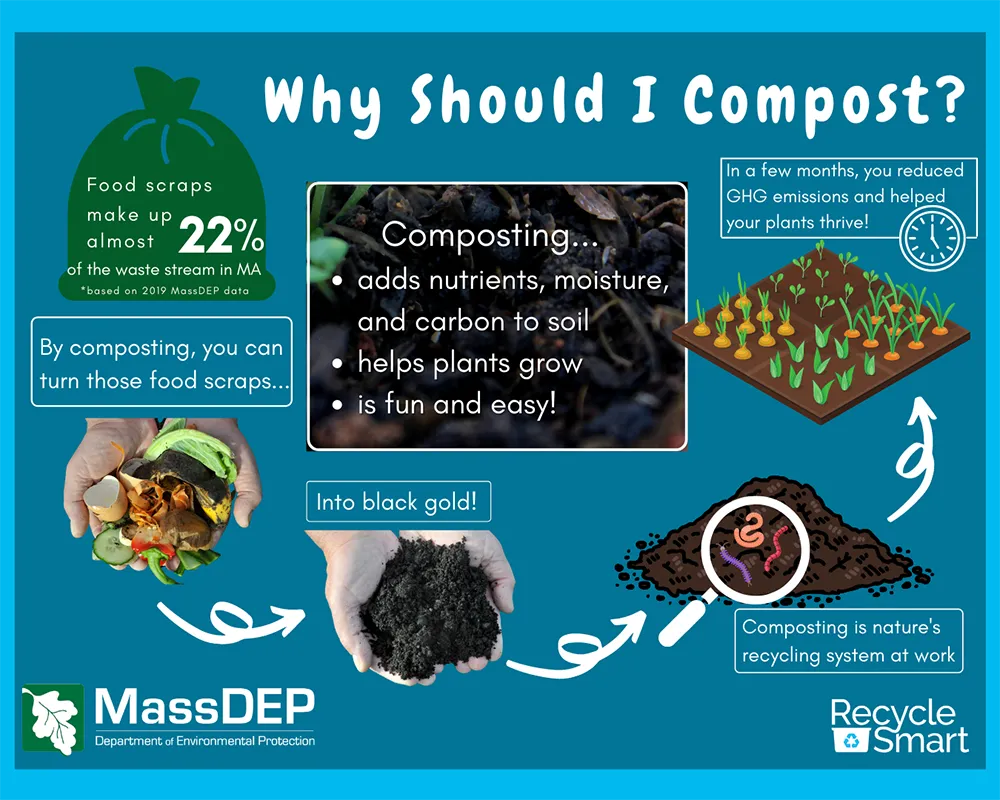 MADEP compost infographic