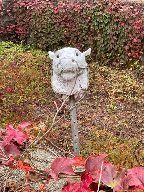 Where is it? - Photo by Anne Stanton