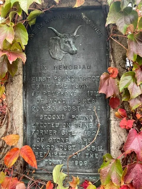 Plaque on the Town Pound outlining its history- photo by Anne Stanton