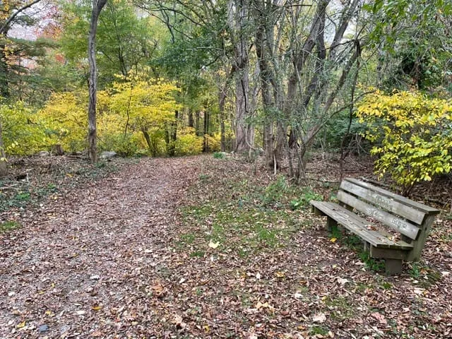 Where is it? - Photo by Anne Stanton