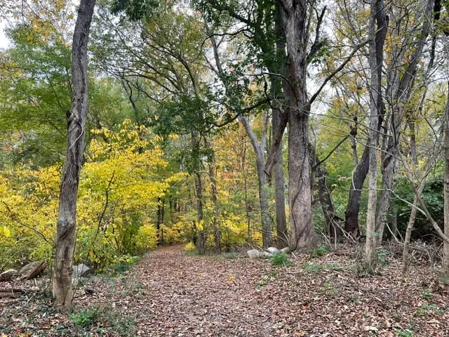 Willowbrook Farm trail -photo by Anne Stanton
