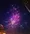 Pembroke Celebrates Independence Day