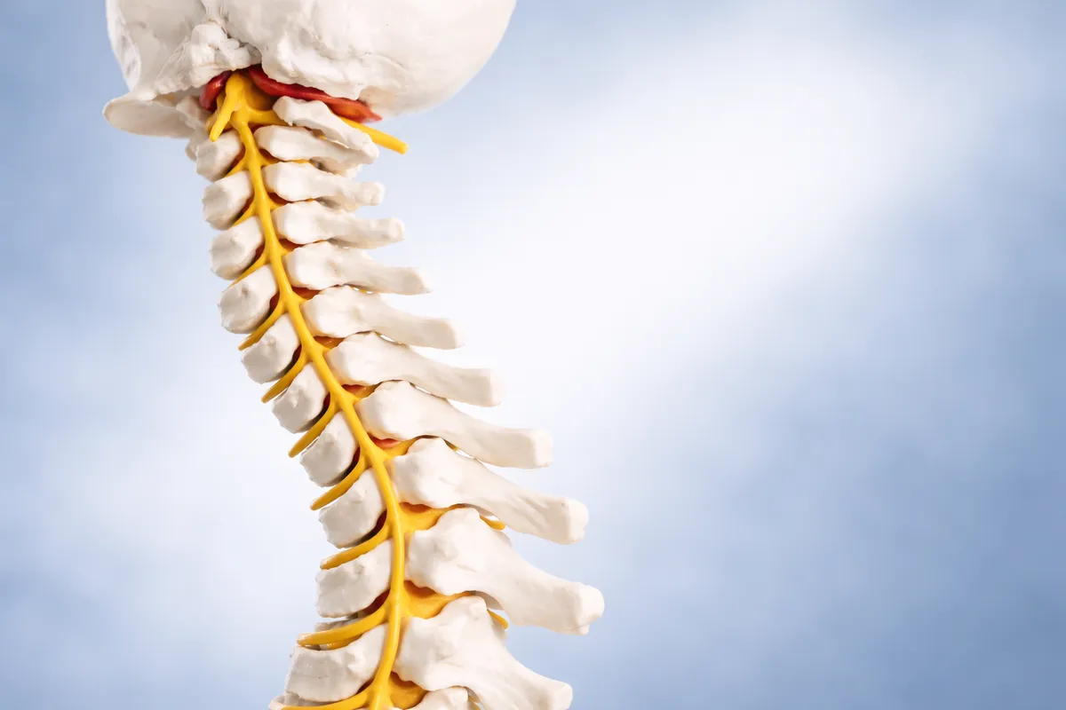 Cervical Spine Assessment