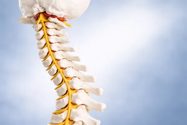 Cervical Spine Assessment