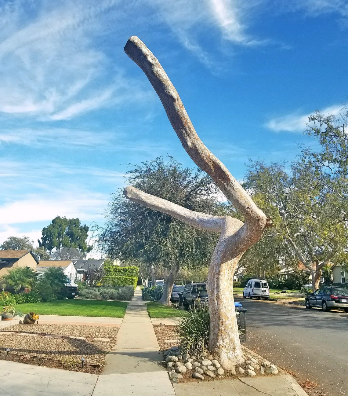 Y Tree