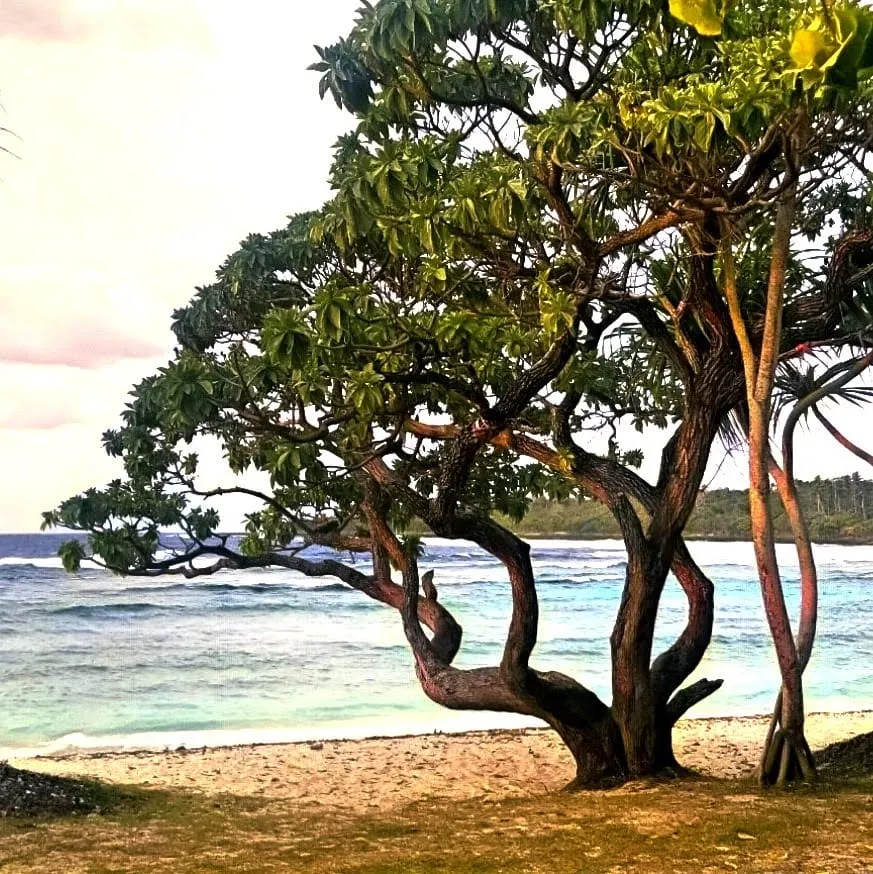 Honeymoon Beach