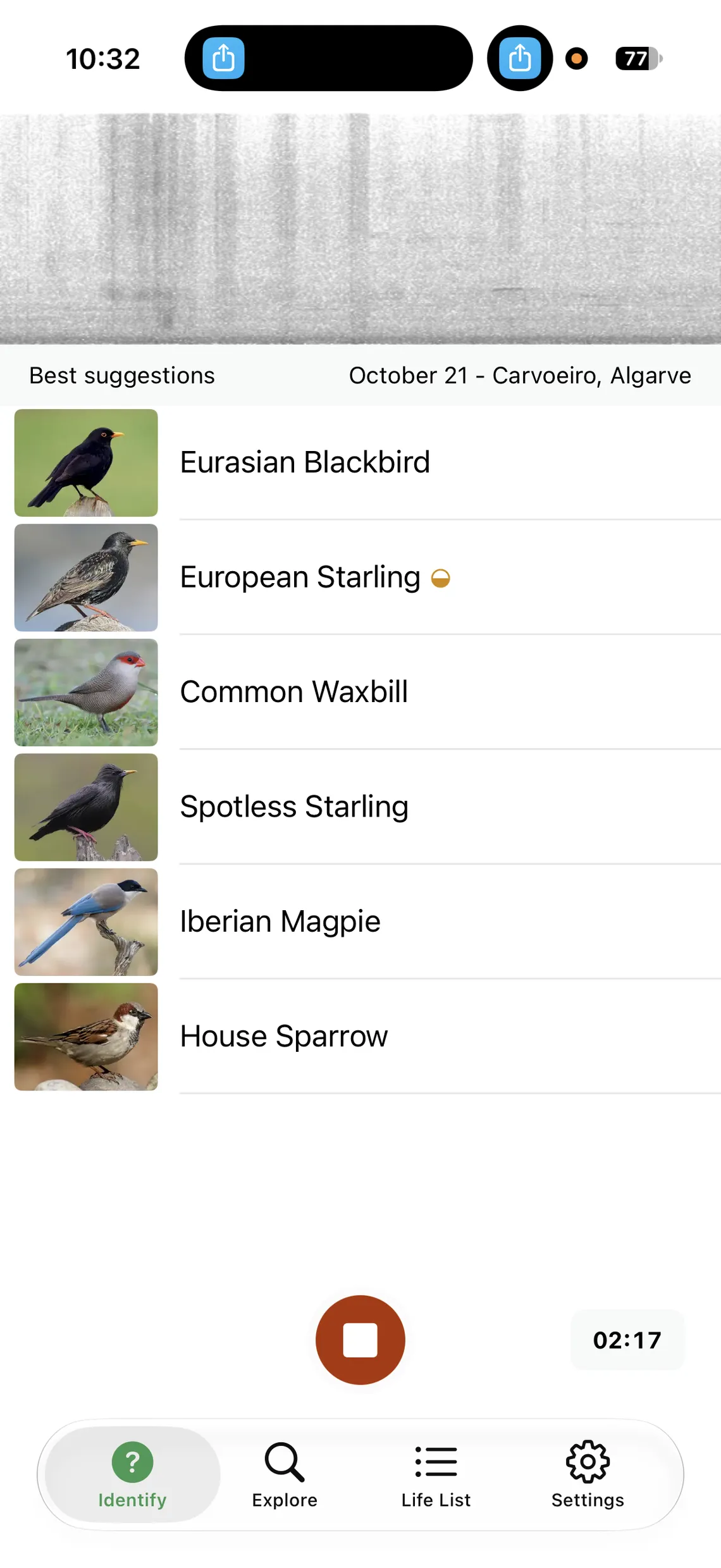 Some of the birds heard in the backyard this morning.