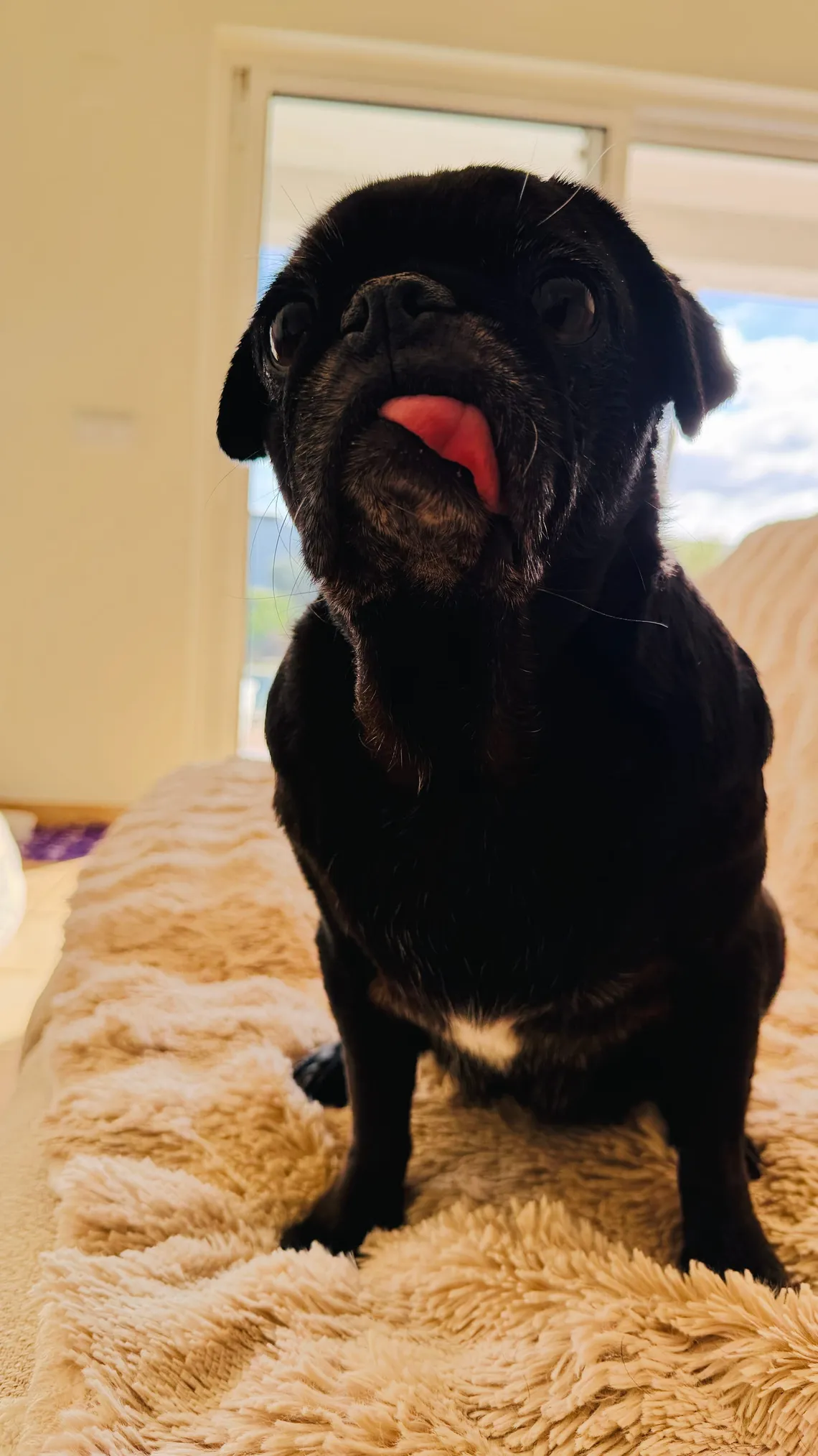 Ruby says hey