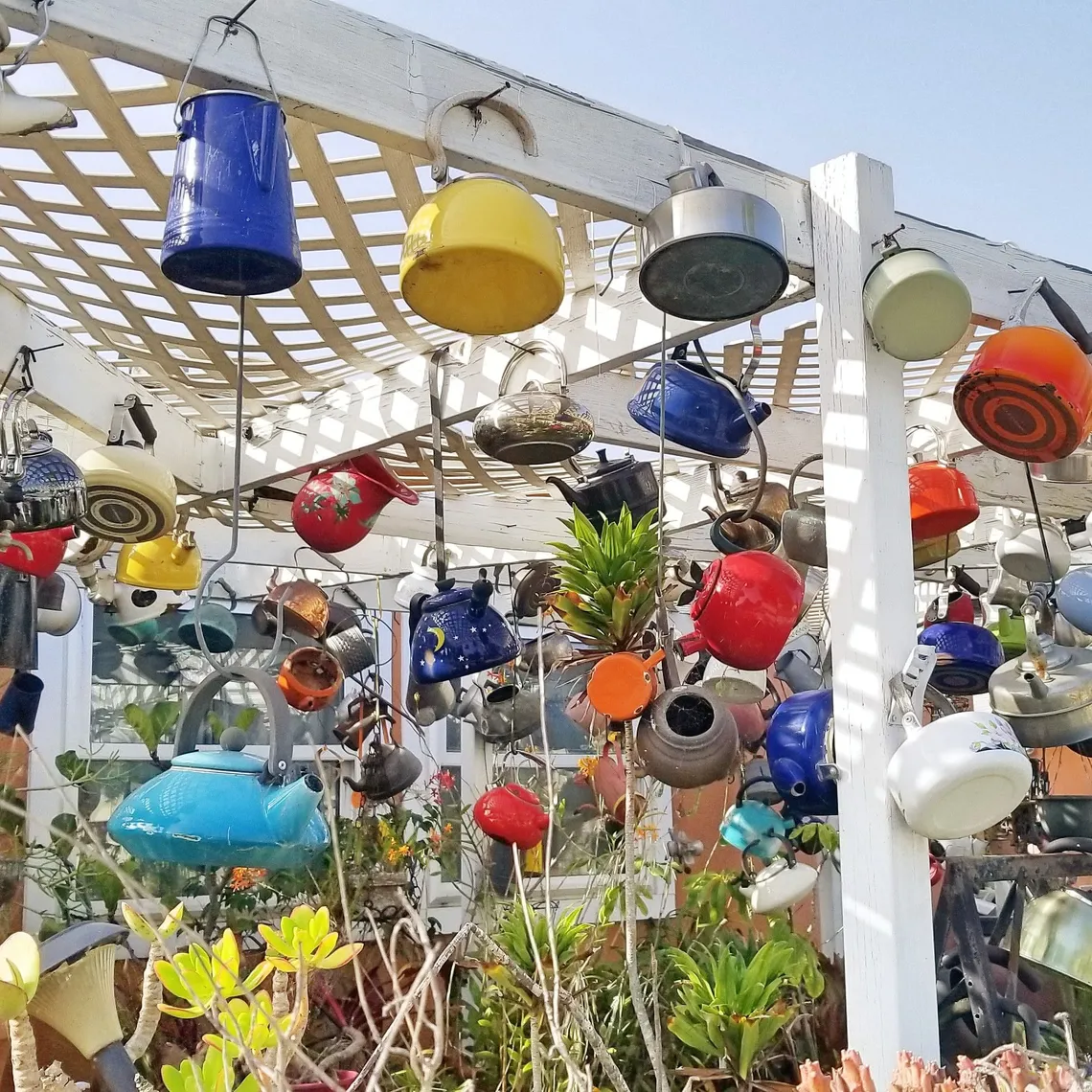Tea Kettles