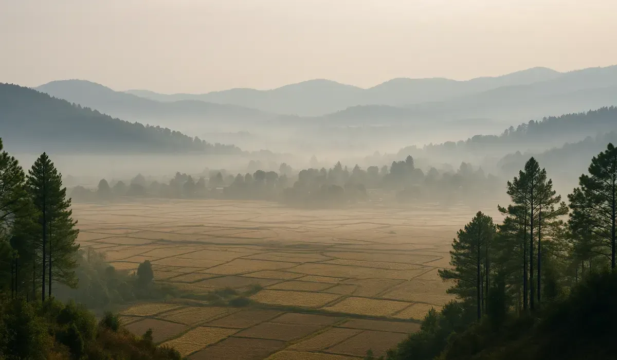 Misty Ziro Valley — offbeat Indian destinations to explore before the New Year begins.