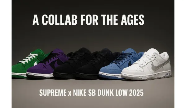 Close-up of Supreme x Nike SB Dunk Low white with reflective Swoosh