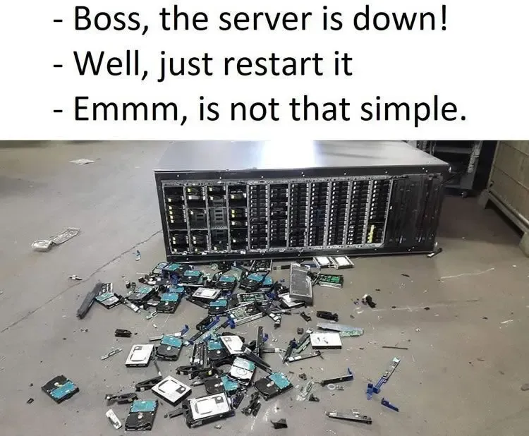 server has crashed .... literally