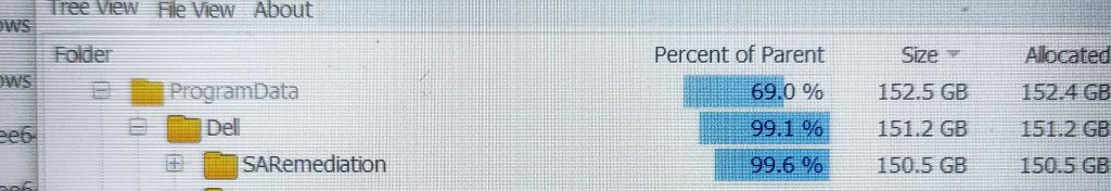 Dell Support Assist Storage Usage