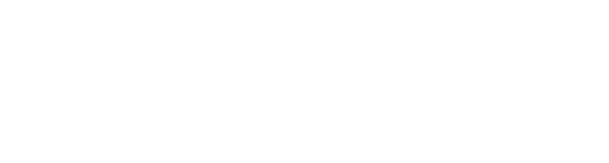 S2 Strategies