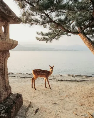This Guy Posed for the Perfect Shot at Erie Lake