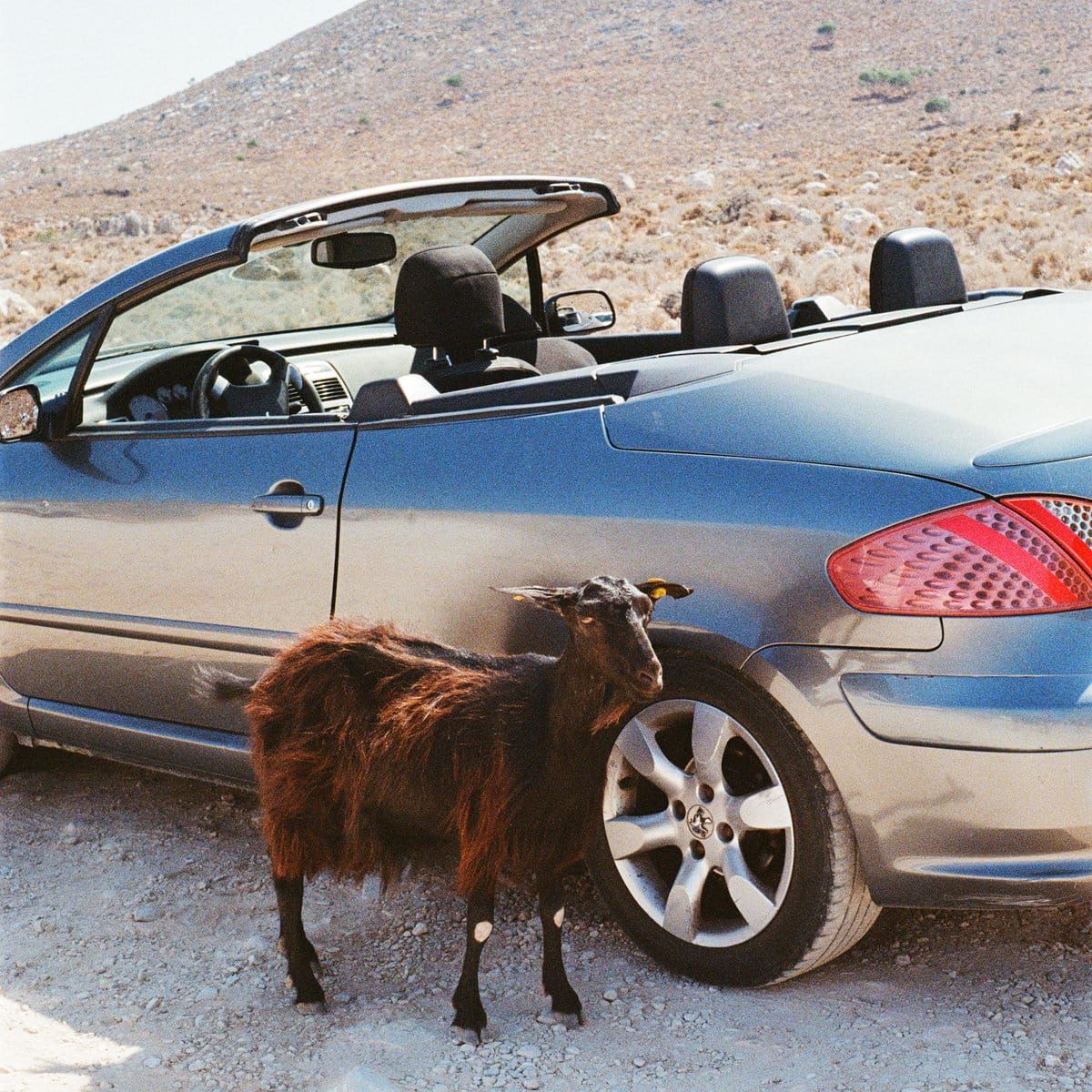 EXEK – Prove the Mountains Move