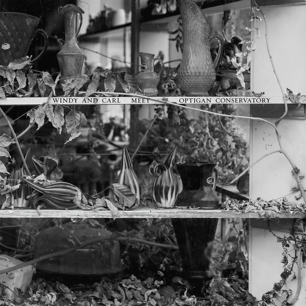 Windy & Carl – Meet Optigan Conservatory