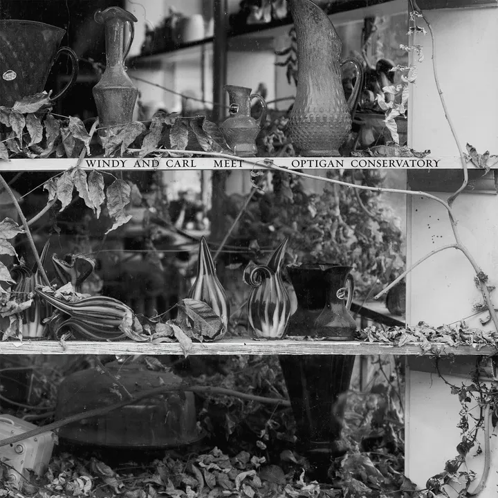 Windy & Carl – Meet Optigan Conservatory