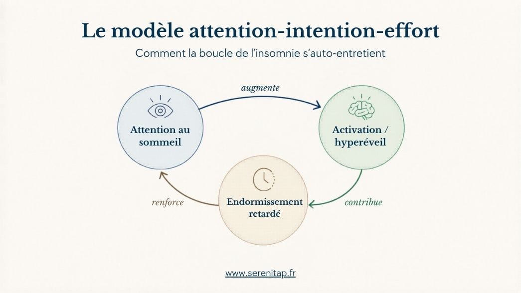 schéma attention intention effort sommeil