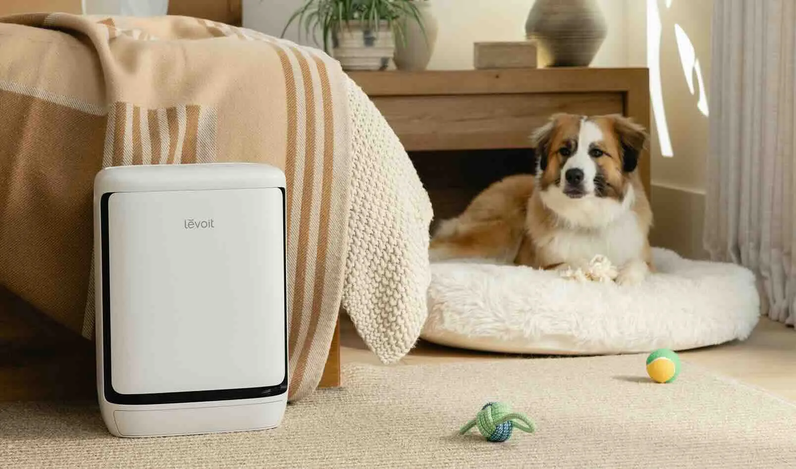 Levoit Vital Pet Pro: il purificatore smart pensato per chi vive con animali