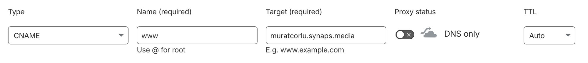 Cloudflare DNS editing screen, proxy status is disabled