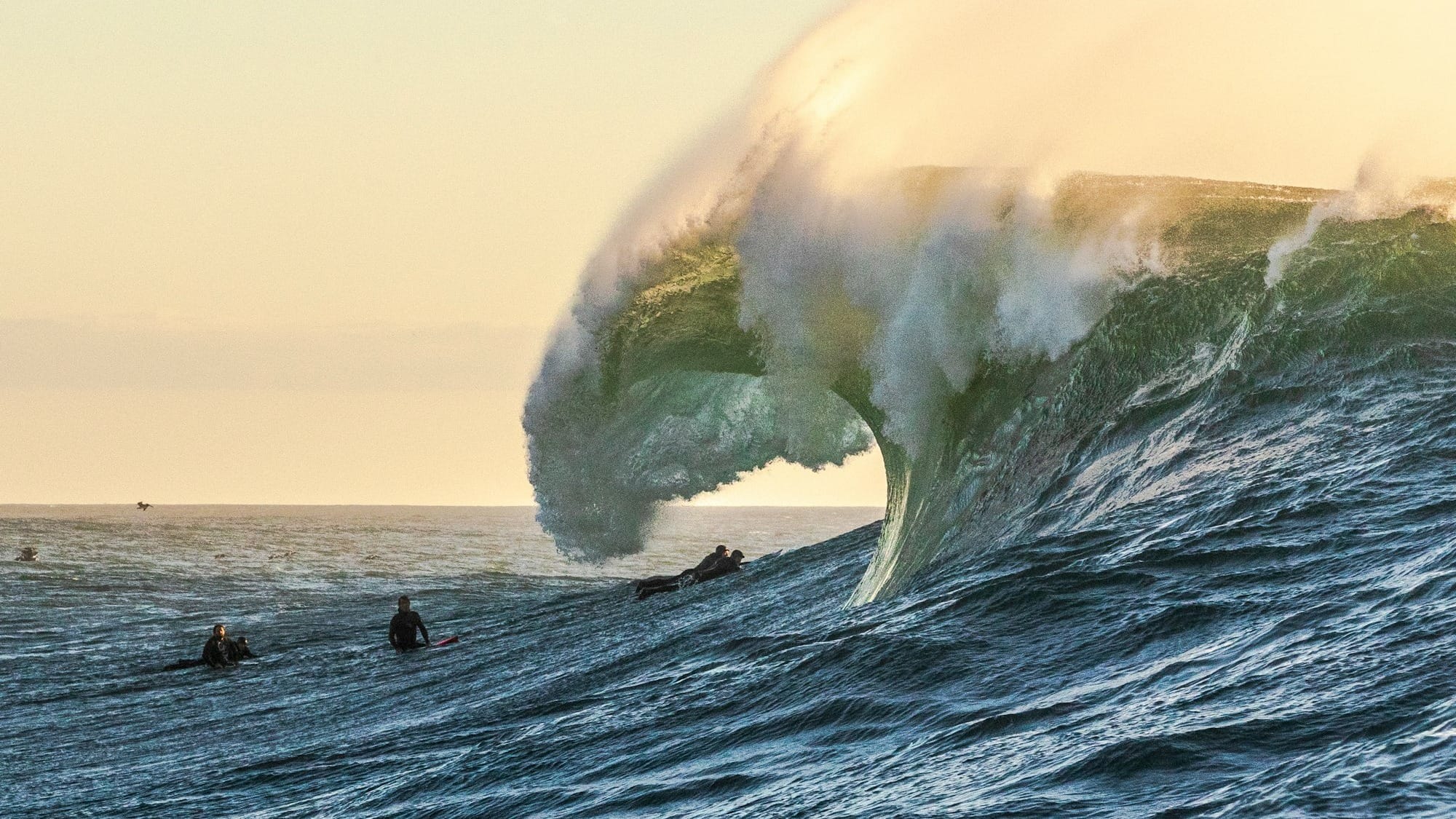 surfers with approaching ocean wave during daytime