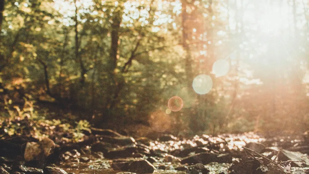 Cinematic Content Mastery [#vimeo]