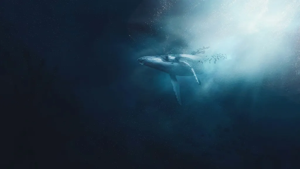 Nur für Mitglieder