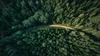 Trang chỉ dành cho thành viên trả phí