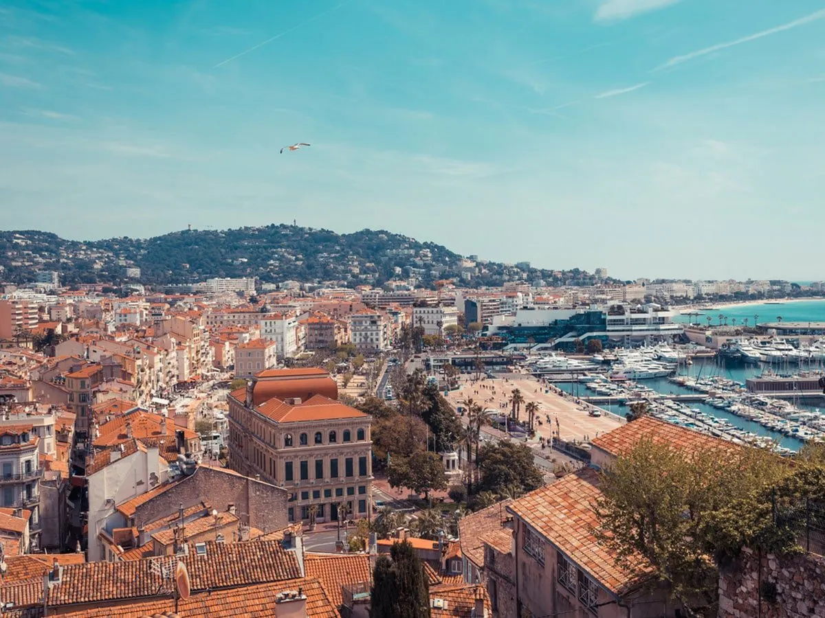 Que Faire A Cannes