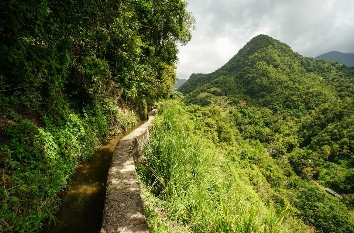 Martinique Randonnée