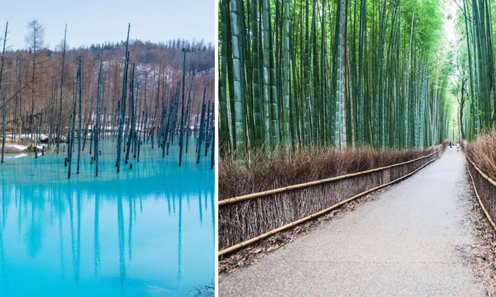Lieux Méconnus à Visiter Au Japon