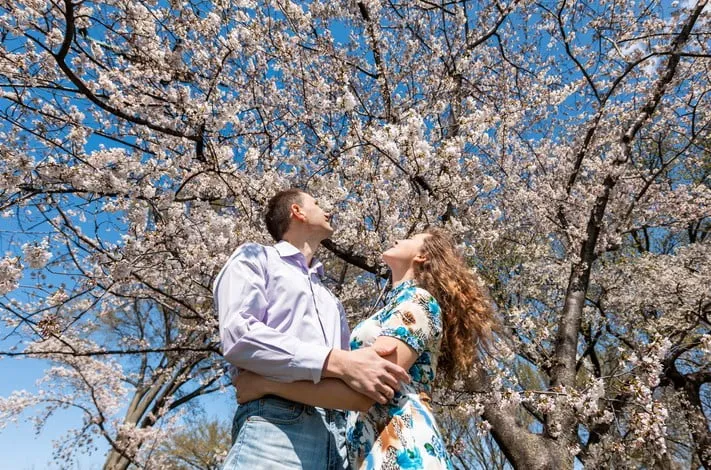 Voyage Romantique Au Japon
