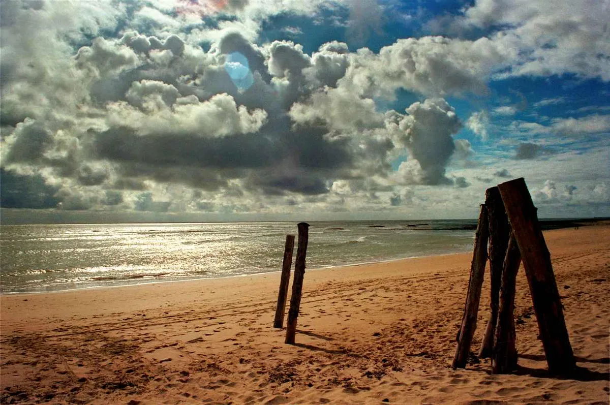 Paysage de l'ile d'oléron
