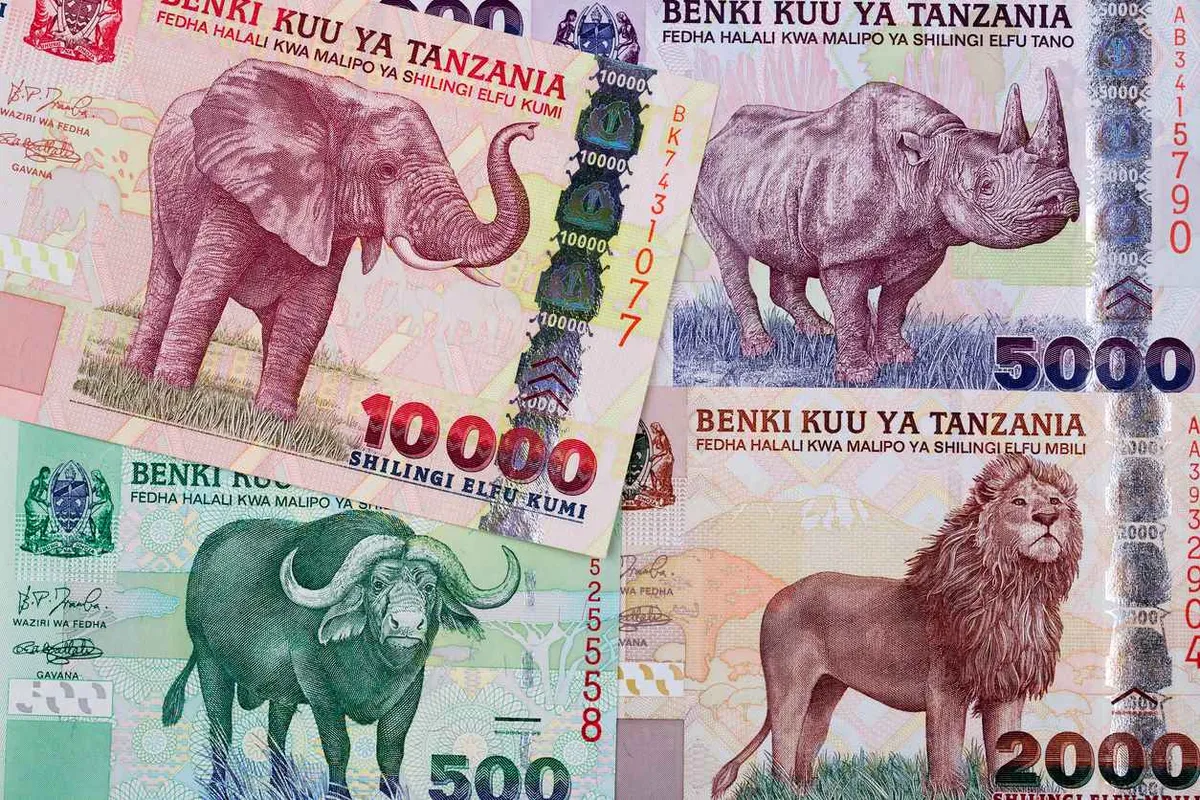 Shilling Tanzanien Monnaie Zanzibar