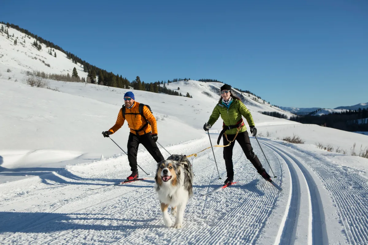 Ski nordique Vercors