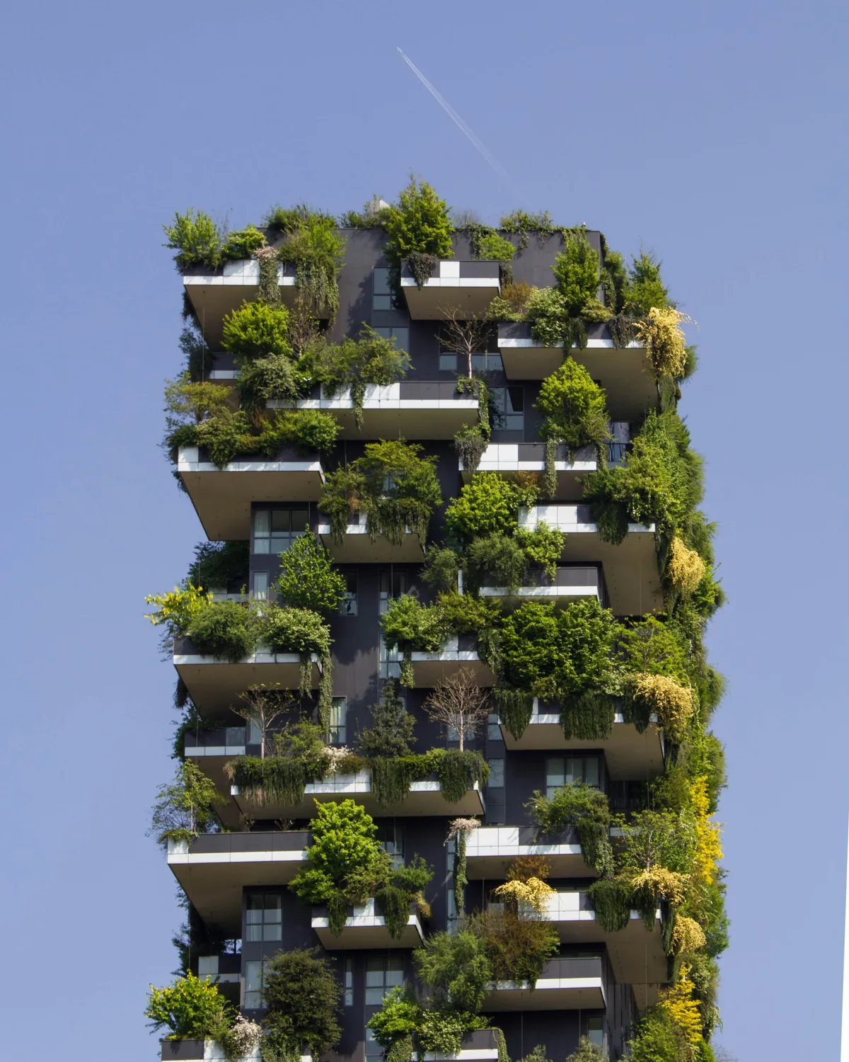 Assurance Habitation Et Écologie