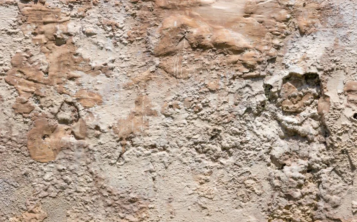 Salpêtre sur les murs : comment s’en débarrasser ? Image de l’article